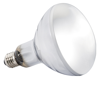 Picture for category lamps, bulbs